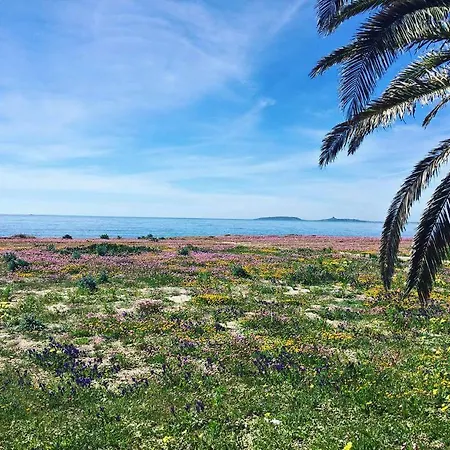 Affittacamere Al Mare 3*